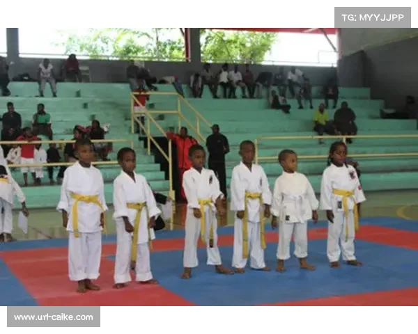 世界武术锦标赛筹备进展,多国选手报名参赛 世界武术锦标赛筹备进展,多国选手报名参赛